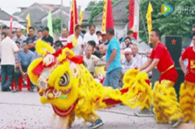 梁氏祭祖活动（岭南风俗文化）